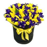 Arrangement with  irises and yellow tulips
