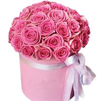 Pink rose in a hatbox