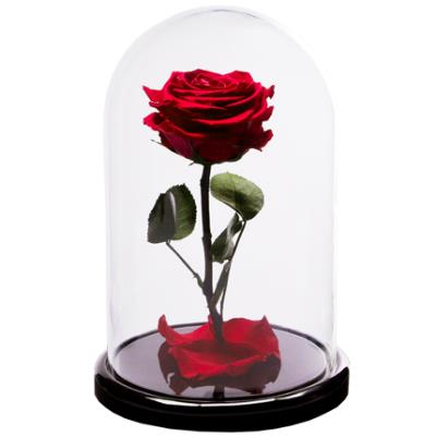 Red rose in a flask Red rose in a flask