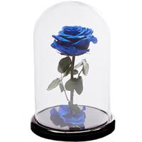 Blue rose in a flask
