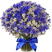 Bouquet of cornflowers and field chamomiles