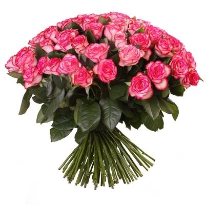 51 роза 51 роза