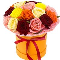 21 разноцветная роза