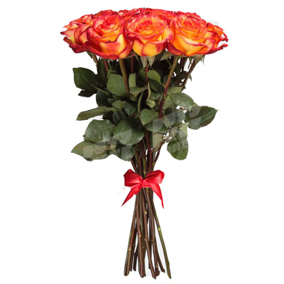 Bouquet of 15 fire roses Bouquet of 15 fire roses