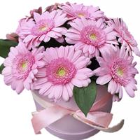 Charming bouquet of gerberas in a box