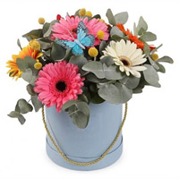 Bright gerberas in a box