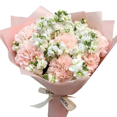 Tender bouquet of carnations and matthiolas Tender bouquet of carnations and matthiolas