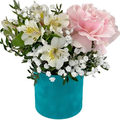 51 multi-colored rose and macaroons 51 multi-colored rose and macaroons