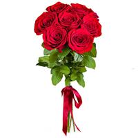 7 bright red roses