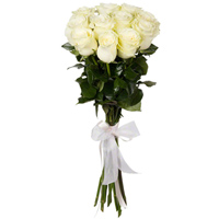 11 невероятных белых импортных роз 
