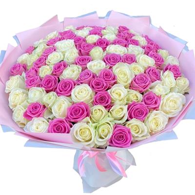 101 pink and white roses 101 pink and white roses