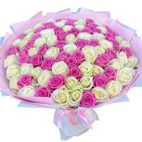 101 pink and white roses 101 pink and white roses
