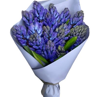 15 гіацінтів у коробці. 15 гіацінтів у коробці.