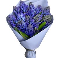 15 гіацінтів у коробці. 15 гіацінтів у коробці.
